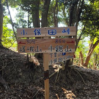 新しい標識有り難き😍