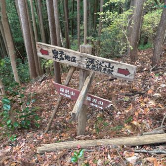 分岐到着。このまま行くと水晶山から白子地区に下るのですが、深沢山西峰に寄り道です。