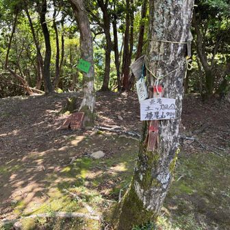 横尾山　　展望ありません