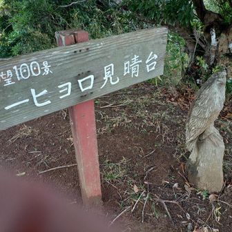 ピーヒョロ見晴台