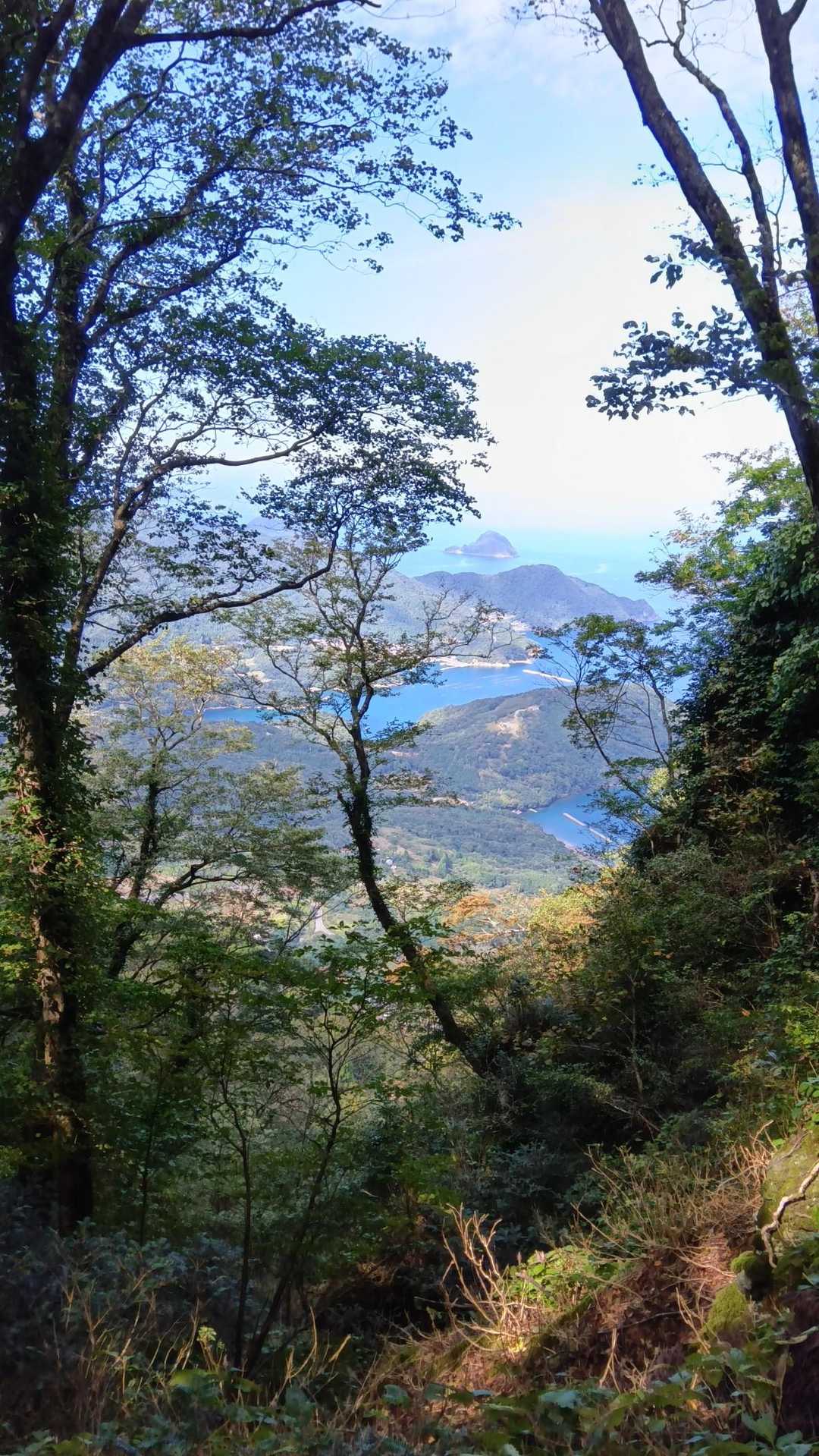 松尾寺登山口-青葉山 往復コースの写真