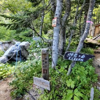 明日
観音岳に向け出発する分岐