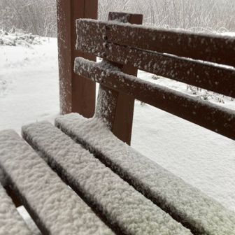 屋根付きベンチがありますが、雪というか、トゲトゲになった氷に覆われてしまっています😢