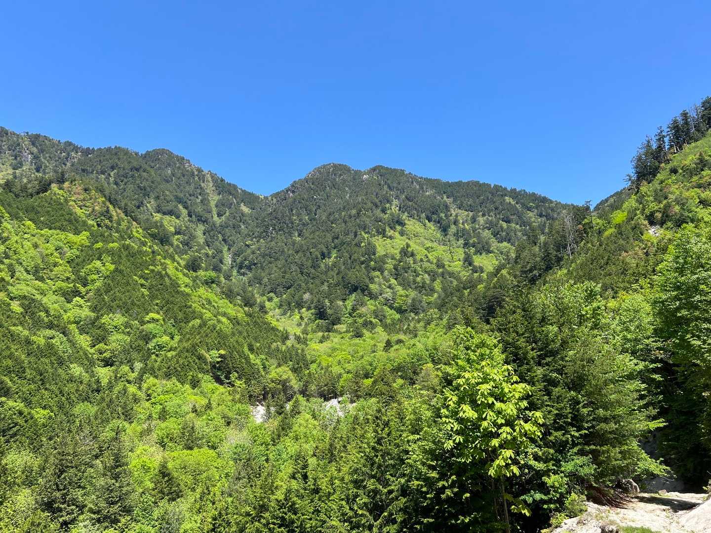 降りてきた。こんな山でしたよ。新緑が綺麗