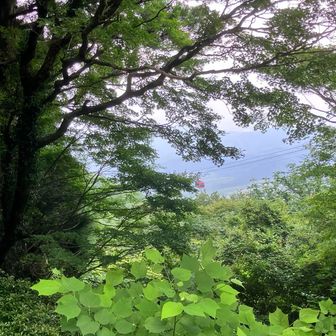 弁慶茶屋跡からロープウェイが見えます