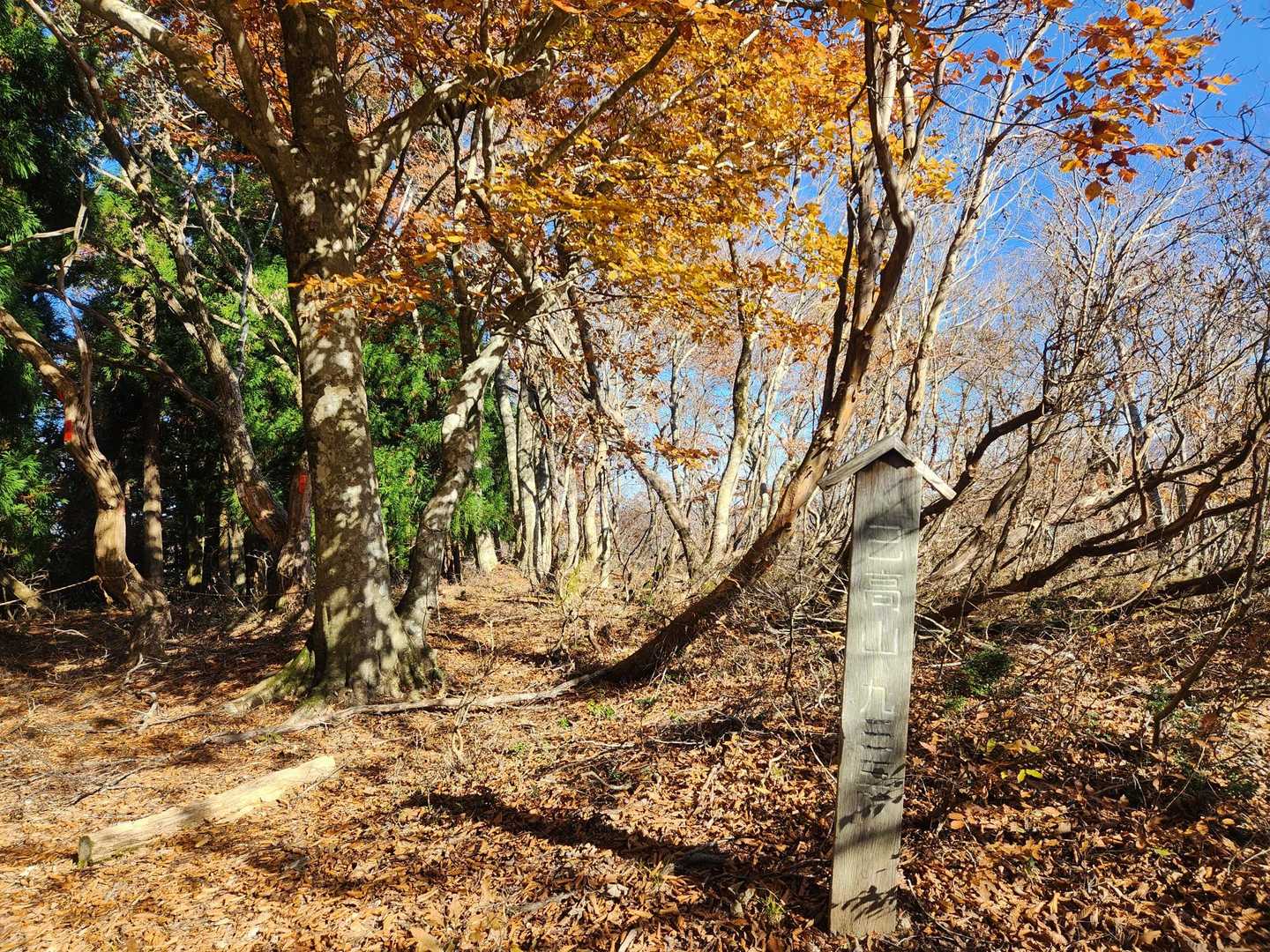 己高山到着🎉