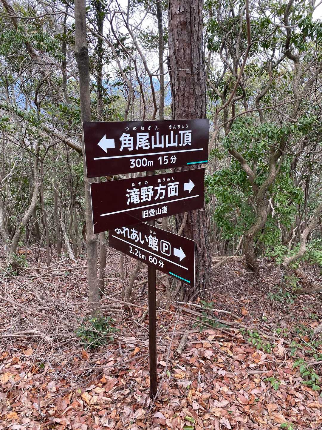 角尾山の反対方向は五峰山へ続き、光明寺まで行けるようだ☺️
今度はそのルートで登ってみようと思う😊