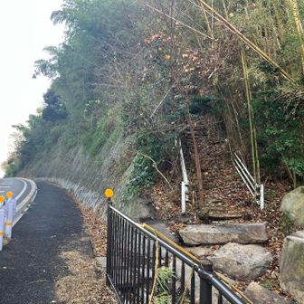 ここに出てきて…