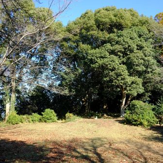 けっこう広いです