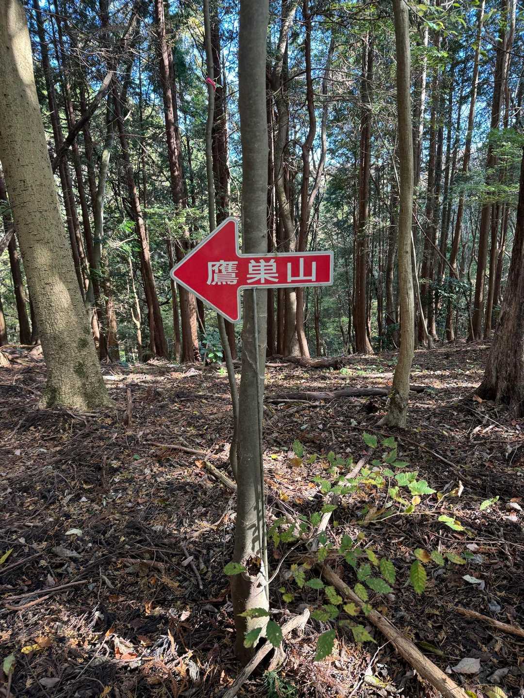 目立ちます😅

何度も言ってすみません😅