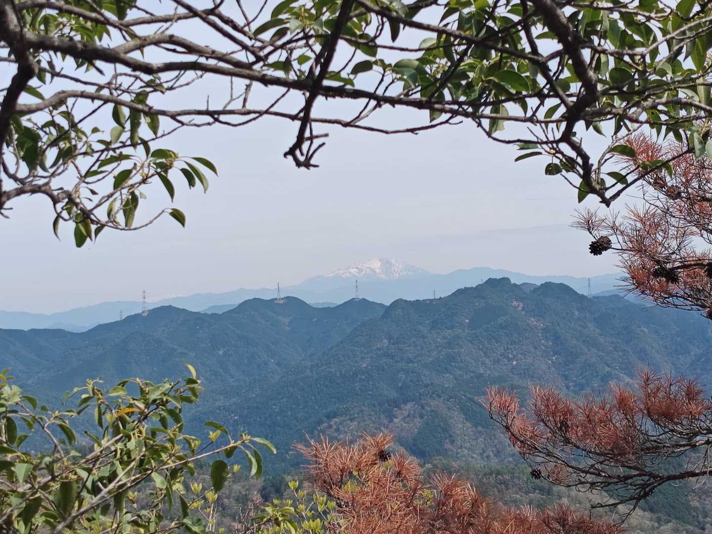 木々の額縁に御嶽山😍