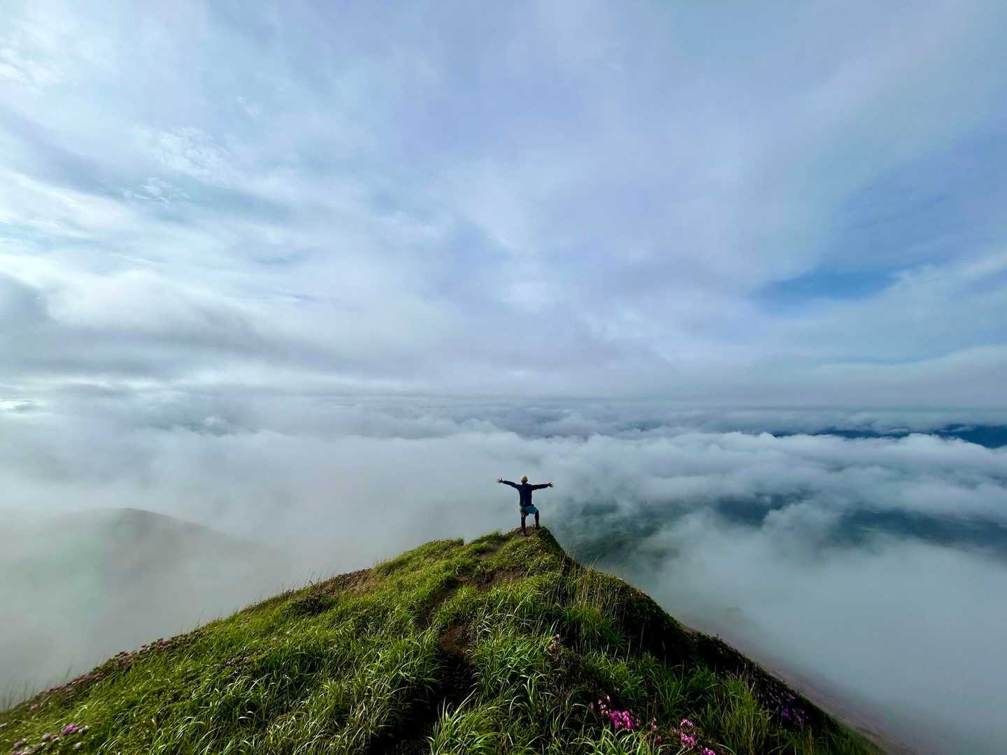 古坊中登山口-皿山-砂千里登山口 周回コースの写真