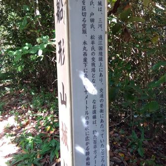 帰りに発見