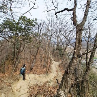 ゆっくりイコネー、