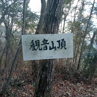 龍王山から観音山までの道が迷いやすく、笹藪を避けたため、隣の尾根に出て戻ったりしました。