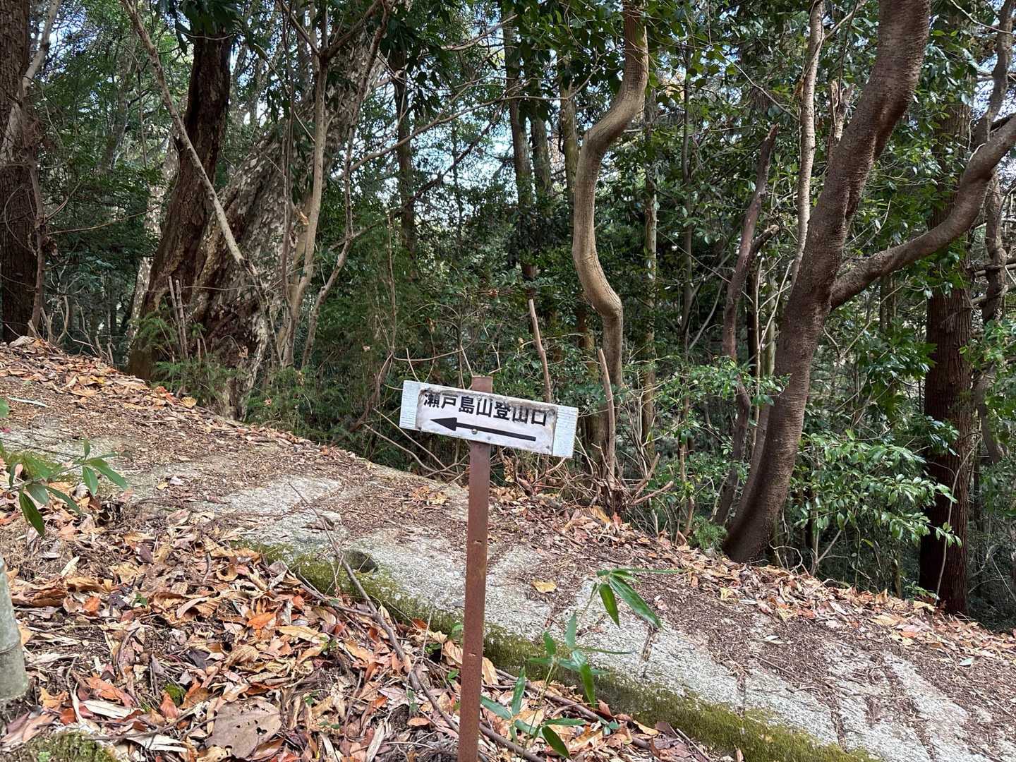 ここが登山口