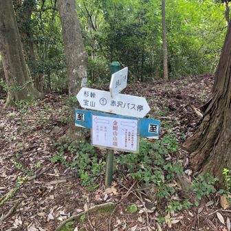登山口から35分ほどで金剛山山頂。
ここまでで見たヒルは4匹…
ヒルが大嫌いなパートナーは、あえて見ないようにしていたらしい🙈