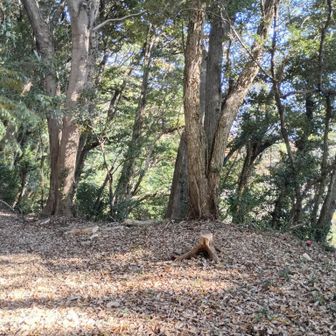 見晴らしの少しいいところでお昼とします。