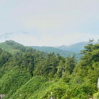 この稜線を縫うように歩きます