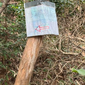 摩耶別山のピーク分からず…
この日はトレランの、キャノンボール大会があったみたいでした💨