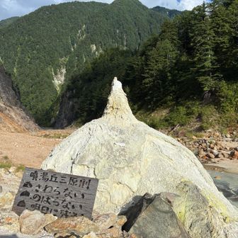 背丈以上の大きさ。
温泉成分が堆積してこの形になるなんて…
自然が作り出す造形/力強さってすごい。。
※白骨温泉にも噴湯丘があるようですが、活動停止かつ溶岩が流出したような一帯であるのに対し、高瀬渓谷の噴湯丘は、今もなお成長を続けているらしい。
