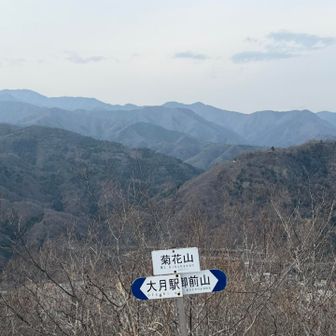 また来ちゃった、先々週オプションで登った菊花山。

今回は反対側から参上