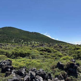 坪庭…溶岩がゴロゴロ🌋