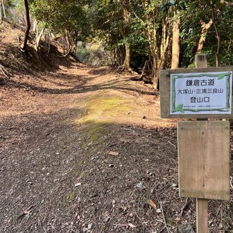 保田見峠からは鎌倉古道で、再び山道。