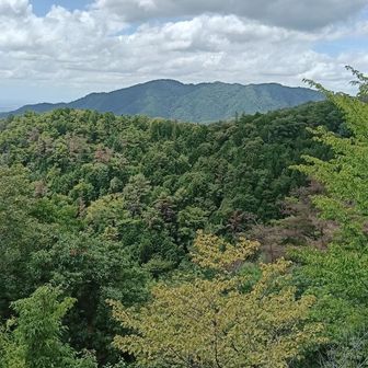 猿投山！