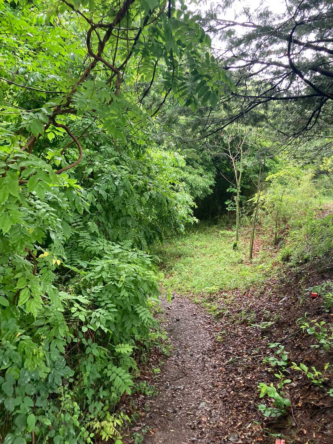 だんだん緑が濃くなってきました〜
出発でーす😊