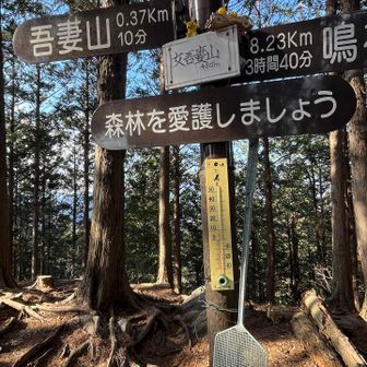 女吾妻山に到着🙌
ハエ叩きが気になる😅