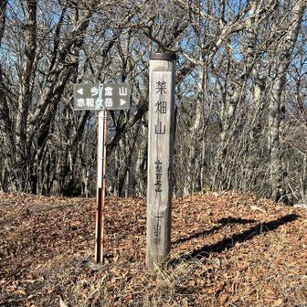 菜畑山到着✌️

ここまで登ったお山は山頂の標識の有無にかかわらずかそれなりに急登でしたが、割と近接しているのでスタンプラリー的な感じでテンポよく登ることができました。

山頂では山の自然環境をボランティアで見回る活動をされている3人組のパーティーとお話をし、お土産にお菓子と沢山の元気を頂きました🙇