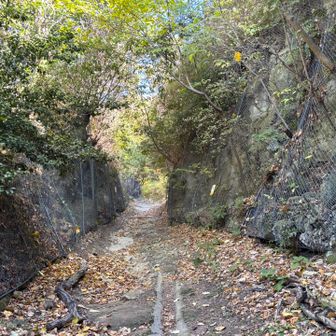 え？ いきなり切通！？
予想外の発見に大興奮
高さも質感もぐっとくる