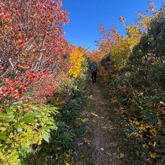 こちらのルート、途中スライドしたパーティは島原山避難小屋泊するそう
島原山避難小屋は6月下旬～9月末にかけて補修工事が行われ、最近リニューアルしたばかり🧐
私もいつか来てみた〜い‼️
さぁ、まだまだ続くよ快晴の大遠征💪