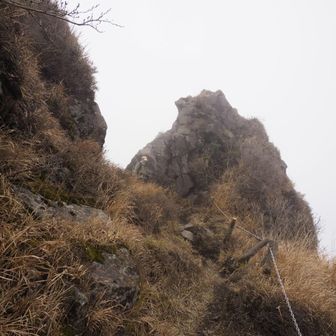 二子石🪨もガスガス