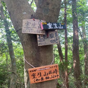 室生山西峰登頂⛰️
ここから下山した時に足を見たらマダニまみれ😇
払いながらダッシュで下山💨
マダニ100匹とクマやったらまだクマのの方が良かった🐻