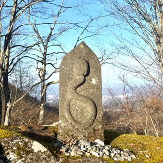 また戻ってきましたー！
頭は人　　体は🐍　
国道299沿いの山中にあった石仏を
横谷観音敷地内に祀るようにしたそうです。　
