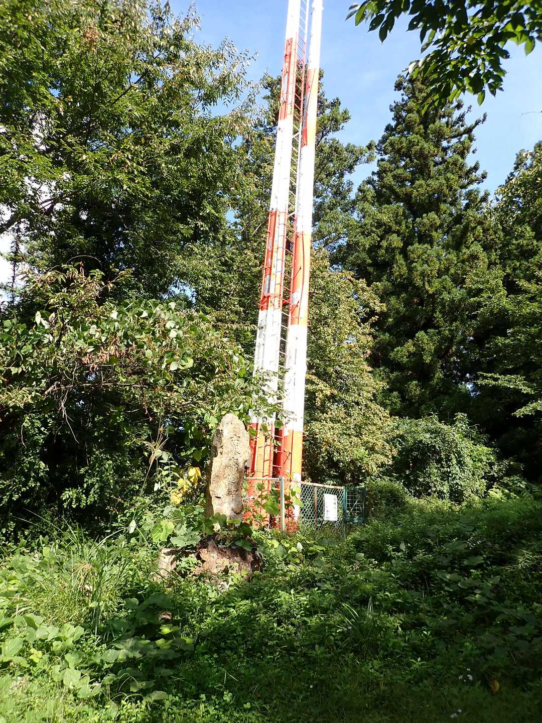 ここが山頂と思ったが・・・