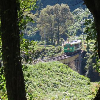 只見線　トロッコ列車