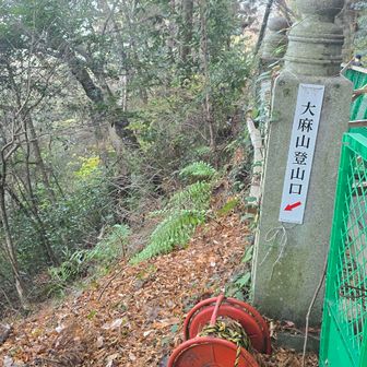 ここへ上がった　ここからは参道の階段下りてくよ