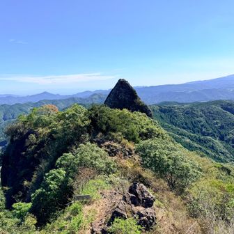 鳥兜岩😎