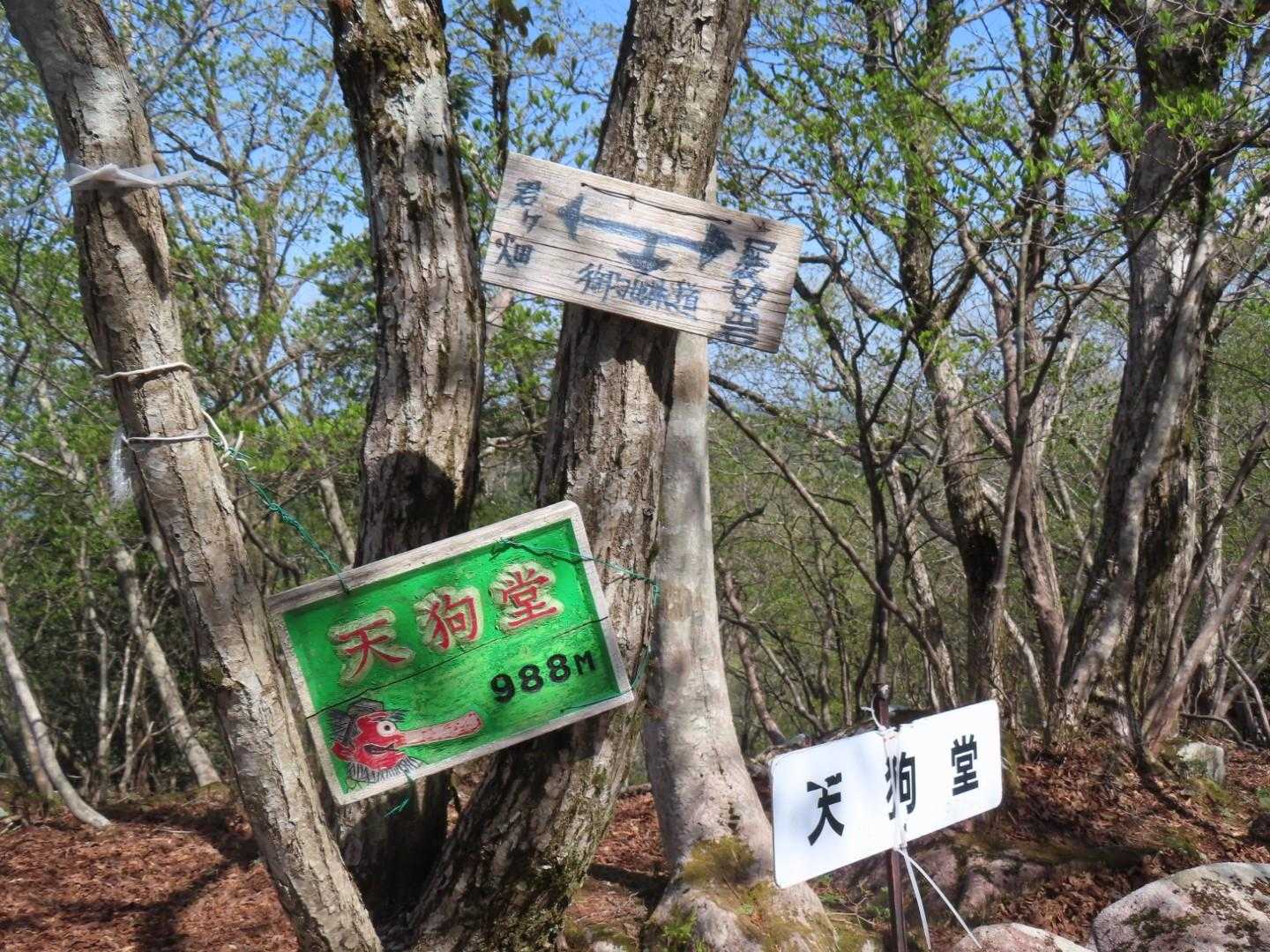 で、登頂😆
10座制覇👑