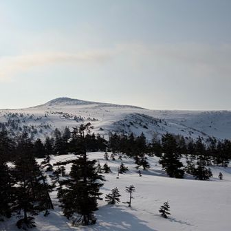 こんな景色だったのね💦