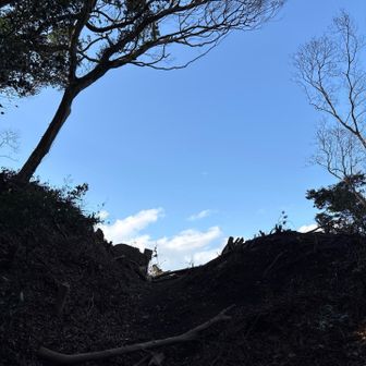 木が切られてお空がよく見える🔵
