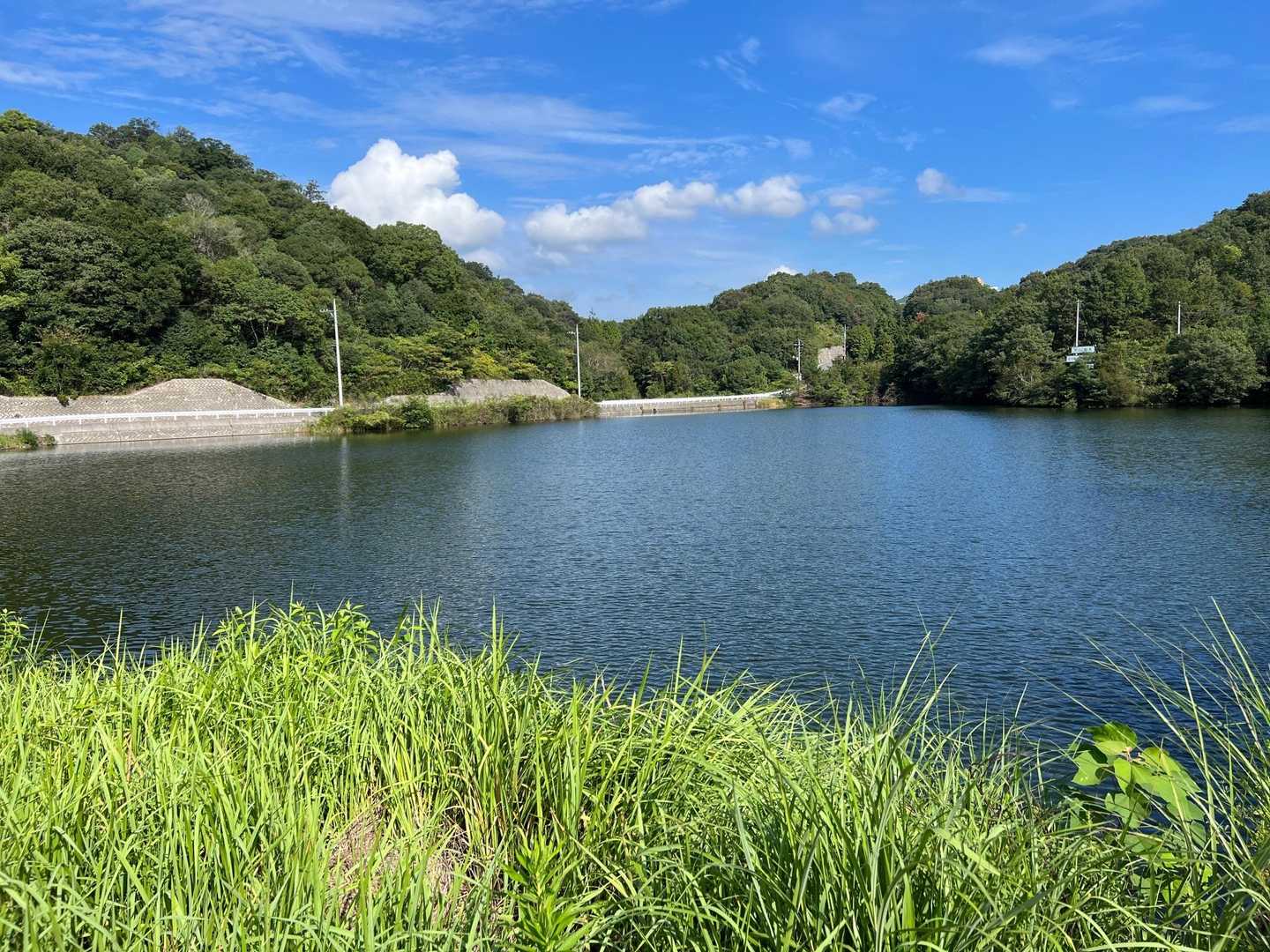 いつもの池。
こう見るとまだまだ夏☀️っぽい。
車道歩いて🅿️まで。
しょっちゅう会ってるけど、
山を歩きながらの自由なお喋りはまた格別デス😊
相棒よ。
今日もお付き合いありがとさん♡