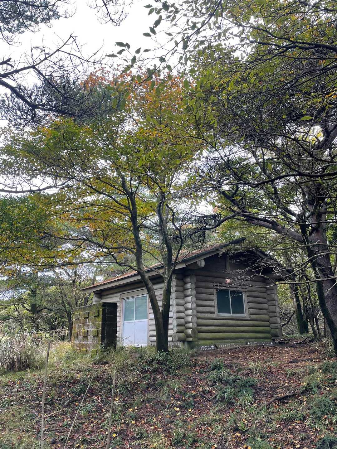 小屋の周りウロウロ、いつもと違う角度からパチリ