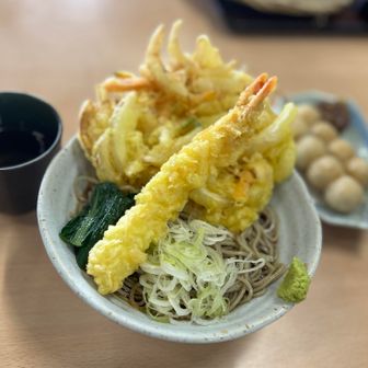 そして、大川入山を下山して、「おにひら」へ

🪰にやられた耳を冷やしながら
25分待ちで食べた天ぷら蕎麦
おいしすぎた🥢

蕎麦は細めで、キンキンに冷えてて
天ぷらは、揚げたてアツアツ
価格は良心的🎯

満腹で昇天しそうだけど、もひとつ⛰️へ