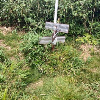 分岐点、目国内岳にも行けます。
僕は岩内岳に戻ります。
