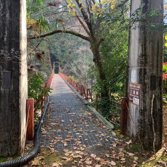 して三浦峠を越えます。