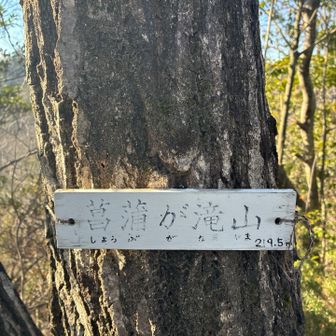 16　菖蒲が滝山　さぁ、あと少し❗️